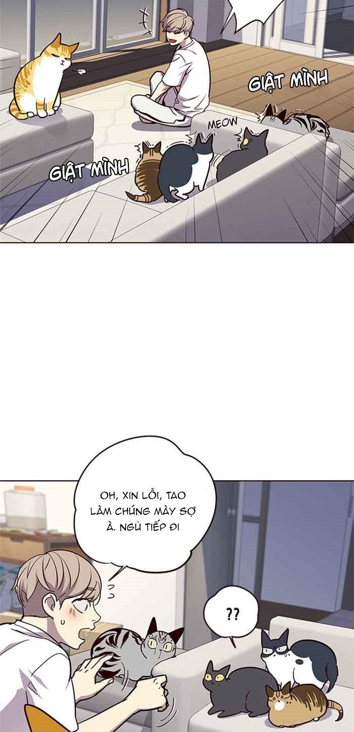 Hóa thân thành mèo chapter 23 - Upload bởi truyensieuhay.com