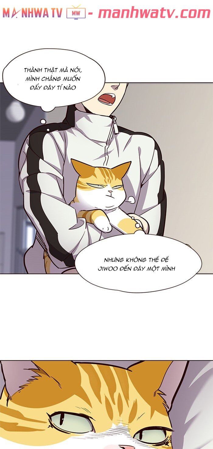 Hóa thân thành mèo chapter 24 - Upload bởi truyensieuhay.com