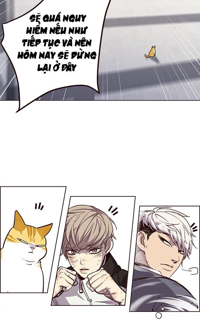 Hóa thân thành mèo chapter 26 - Upload bởi truyensieuhay.com