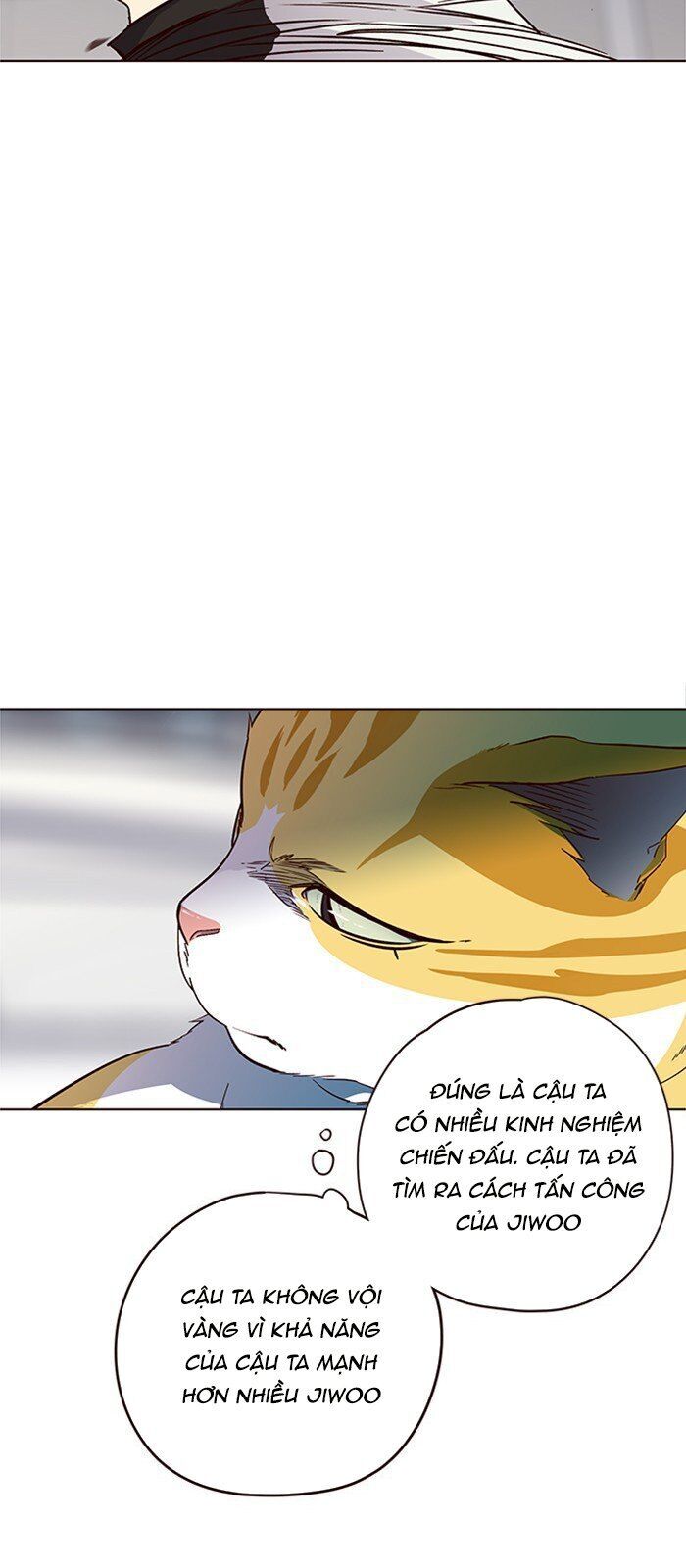 Hóa thân thành mèo chapter 26 - Upload bởi truyensieuhay.com
