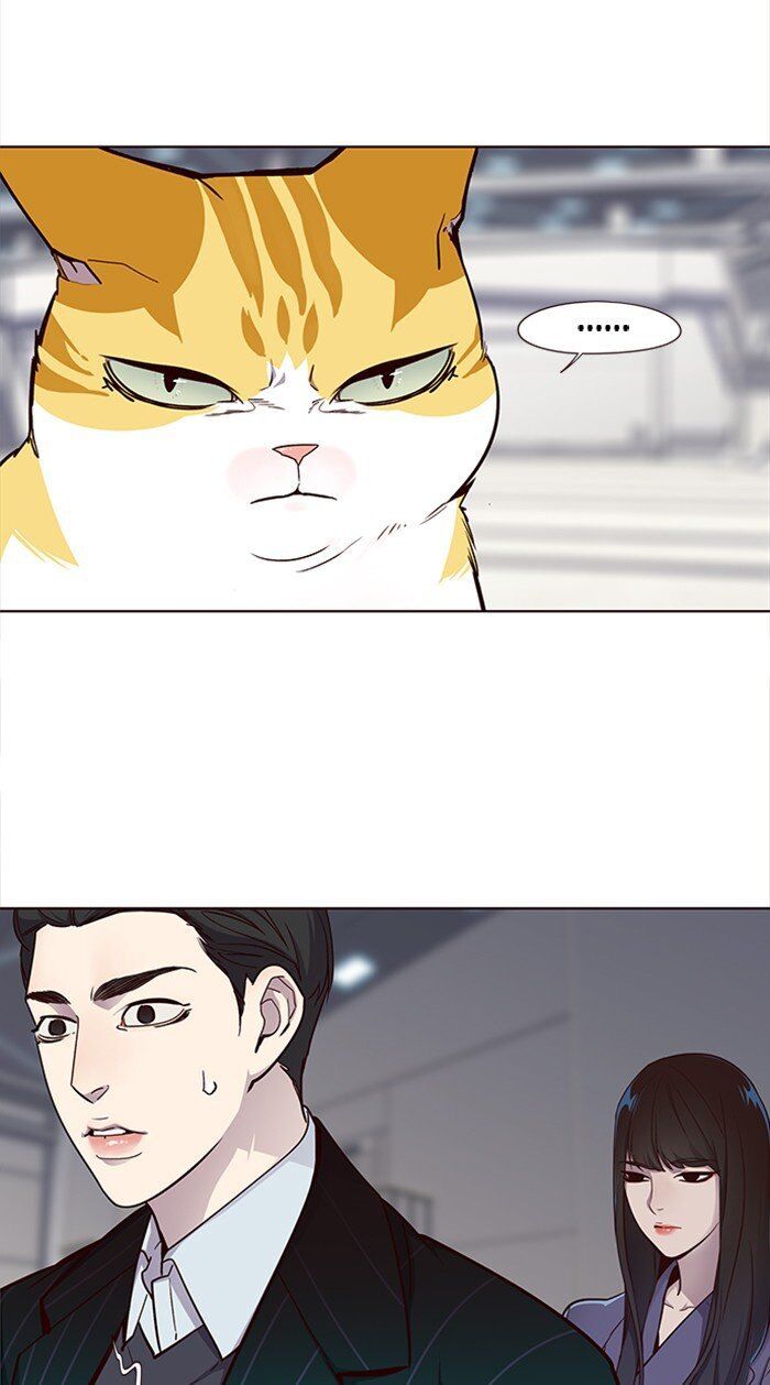 Hóa thân thành mèo chapter 27 - Upload bởi truyensieuhay.com