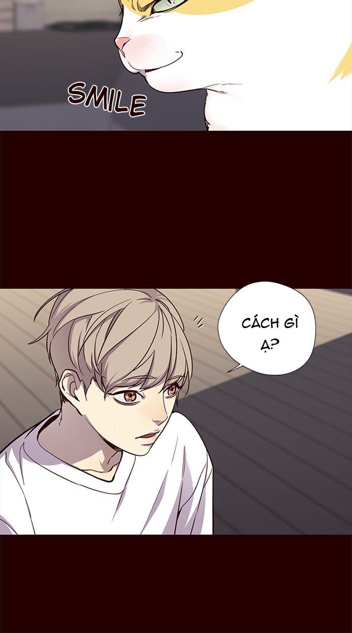 Hóa thân thành mèo chapter 27 - Upload bởi truyensieuhay.com