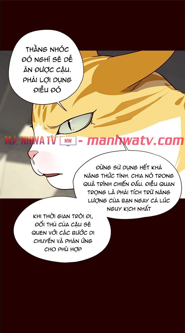 Hóa thân thành mèo chapter 27 - Upload bởi truyensieuhay.com