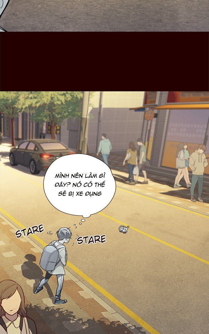 Hóa thân thành mèo chapter 27 - Upload bởi truyensieuhay.com