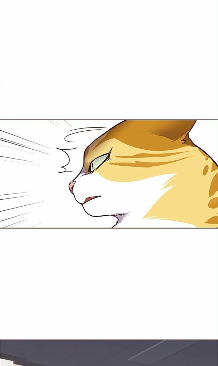 Hóa thân thành mèo chapter 28 - Upload bởi truyensieuhay.com