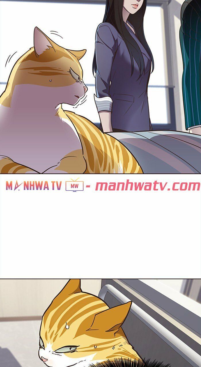 Hóa thân thành mèo chapter 28 - Upload bởi truyensieuhay.com