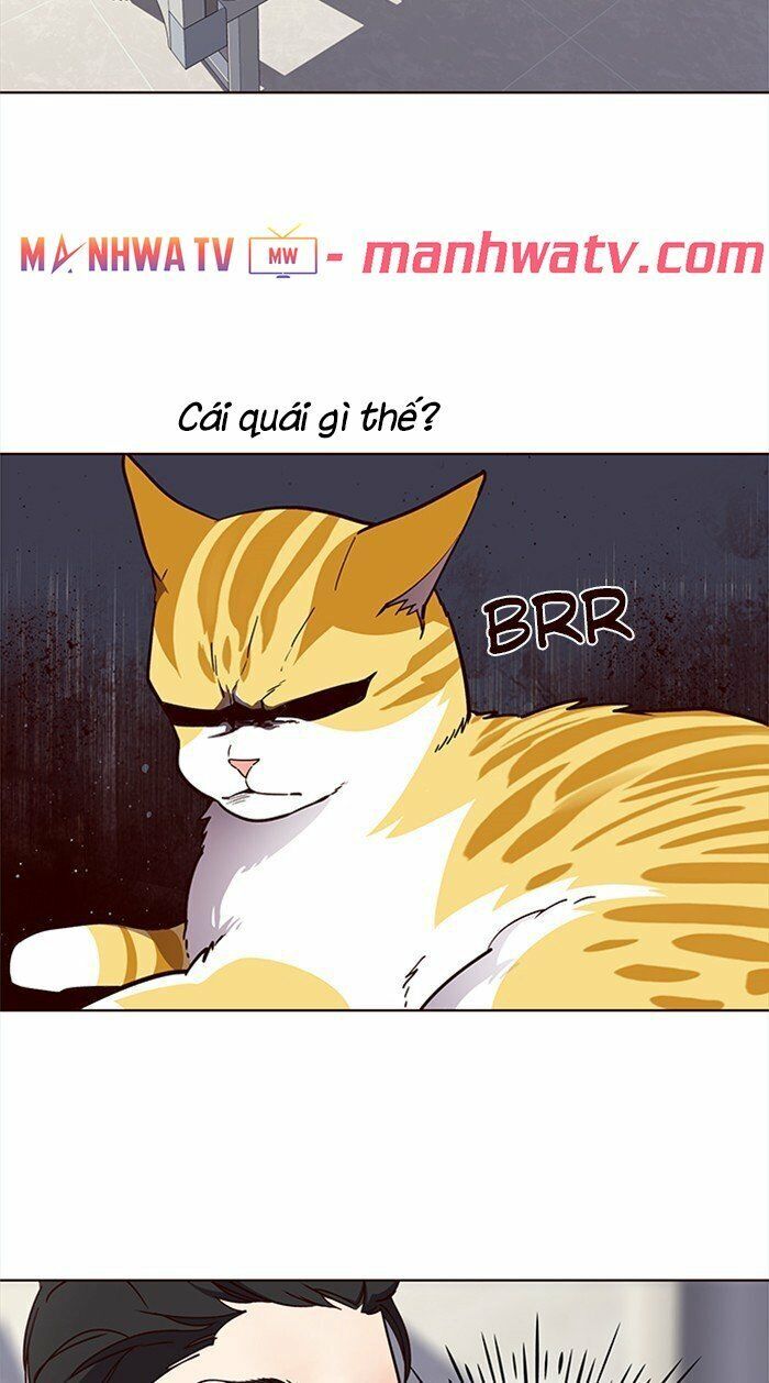 Hóa thân thành mèo chapter 28 - Upload bởi truyensieuhay.com