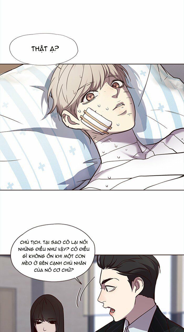 Hóa thân thành mèo chapter 28 - Upload bởi truyensieuhay.com