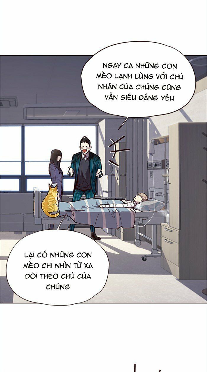 Hóa thân thành mèo chapter 28 - Upload bởi truyensieuhay.com