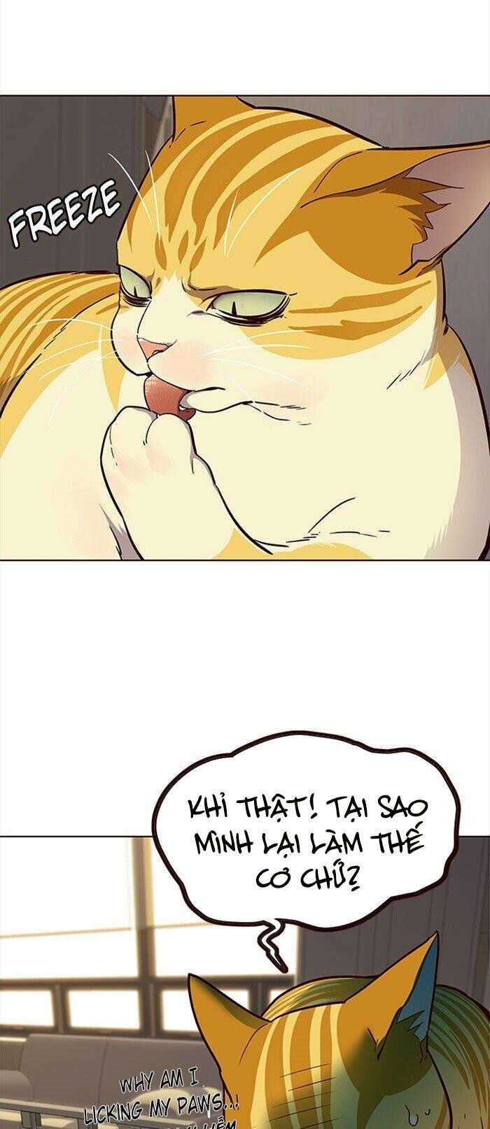 Hóa thân thành mèo chapter 29 - Upload bởi truyensieuhay.com