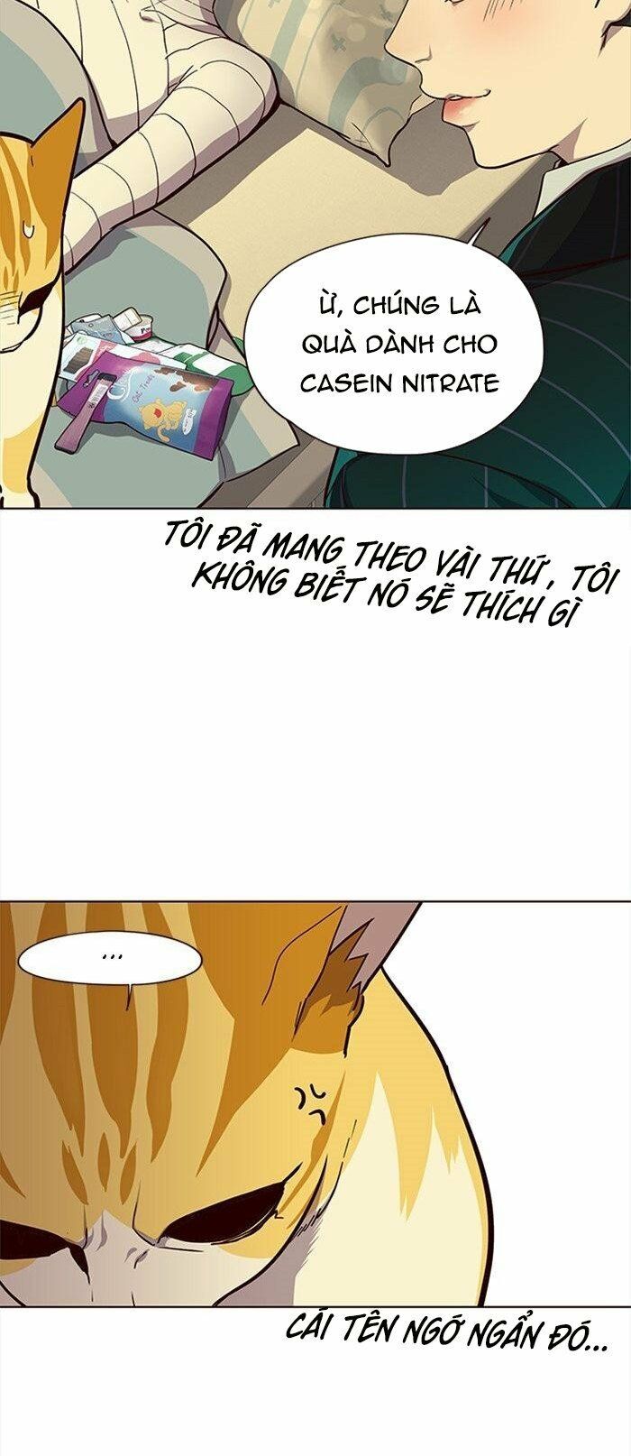 Hóa thân thành mèo chapter 29 - Upload bởi truyensieuhay.com