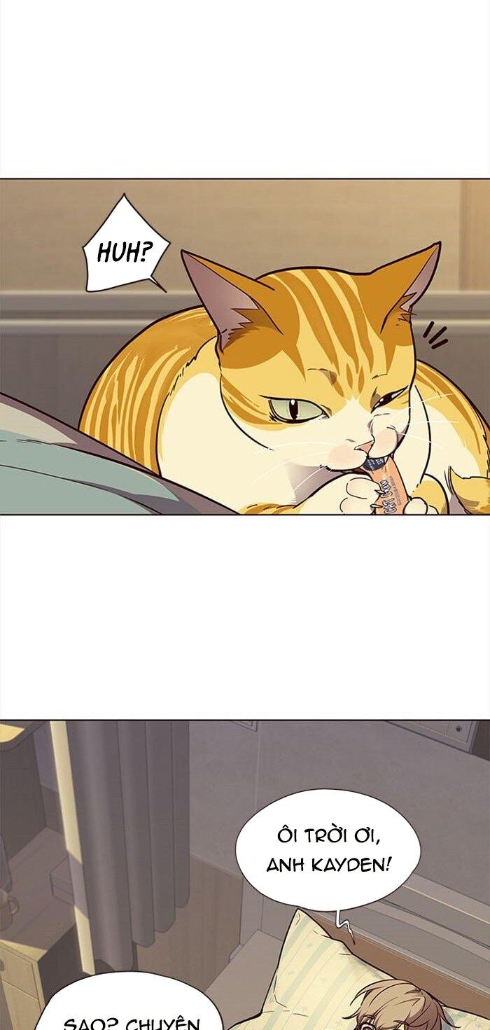 Hóa thân thành mèo chapter 30 - Upload bởi truyensieuhay.com