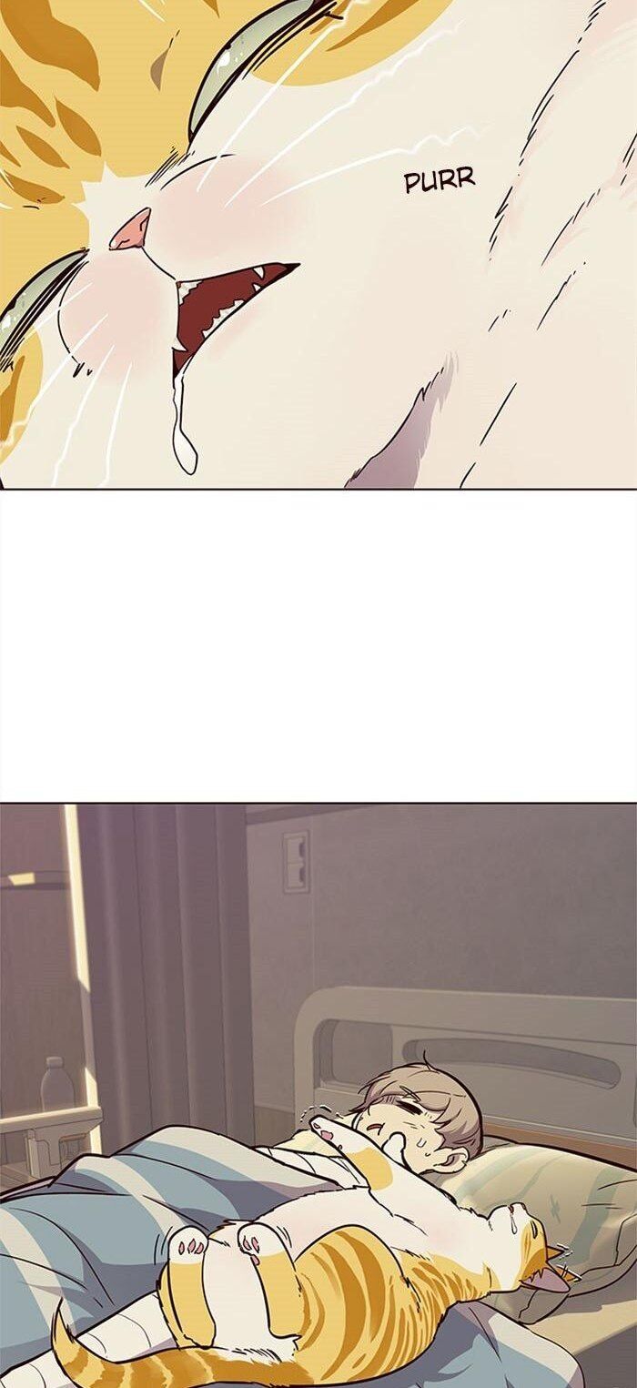 Hóa thân thành mèo chapter 30 - Upload bởi truyensieuhay.com