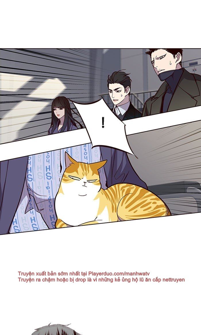 Hóa thân thành mèo chapter 32 - Upload bởi truyensieuhay.com