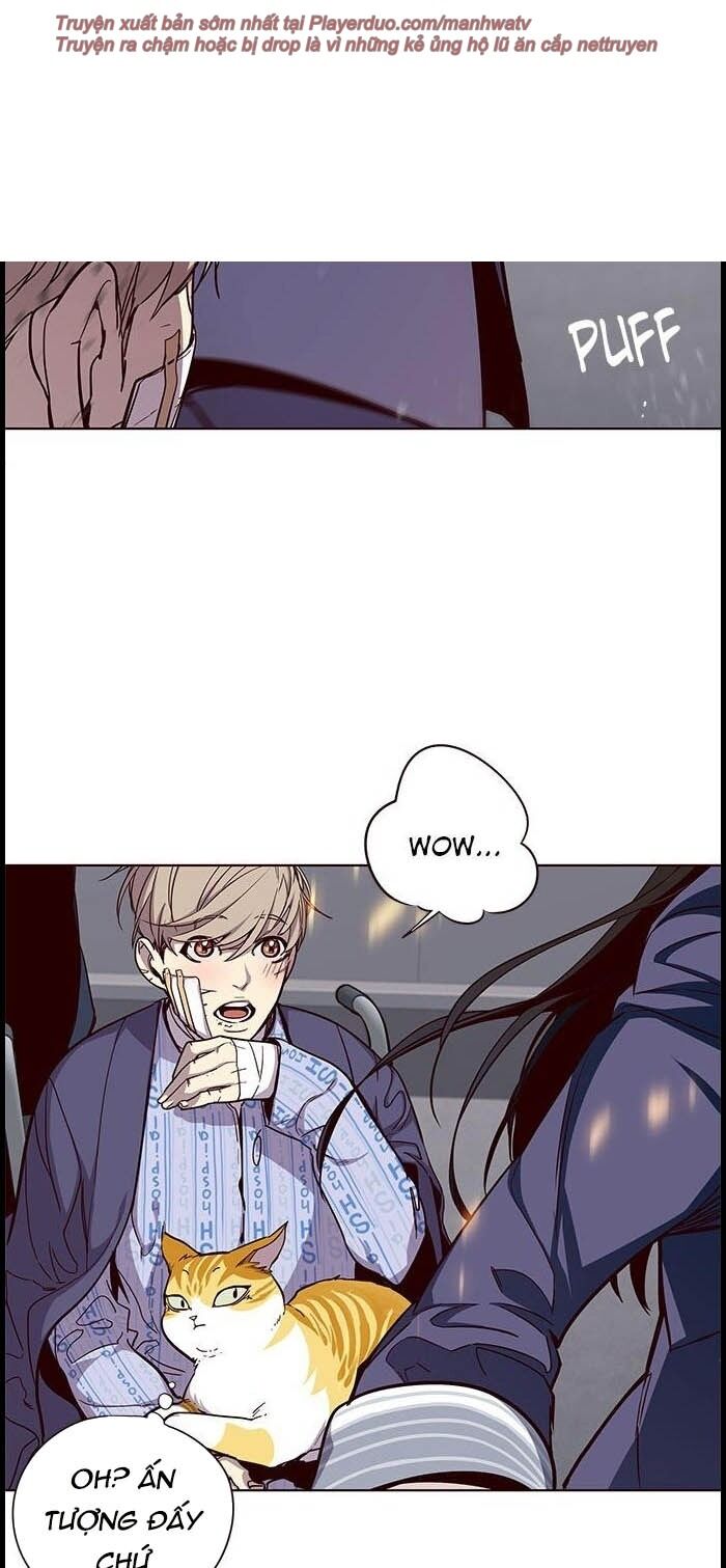 Hóa thân thành mèo chapter 33 - Upload bởi truyensieuhay.com