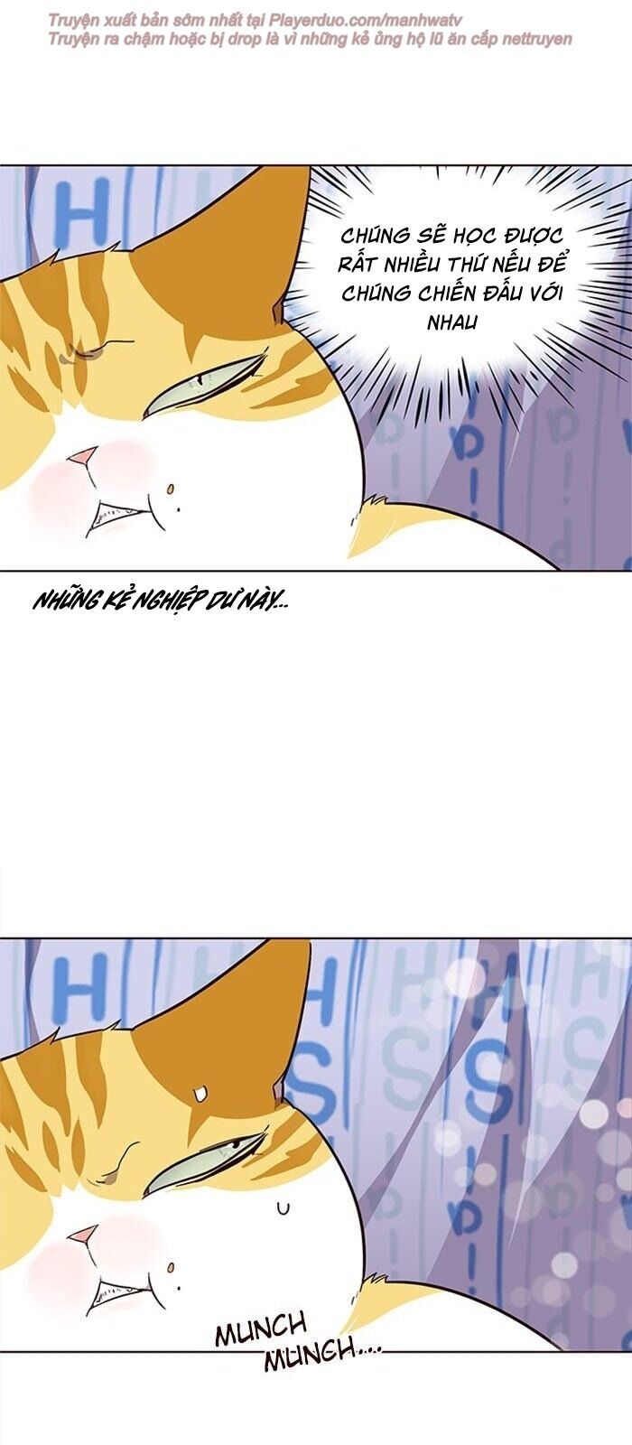 Hóa thân thành mèo chapter 34 - Upload bởi truyensieuhay.com