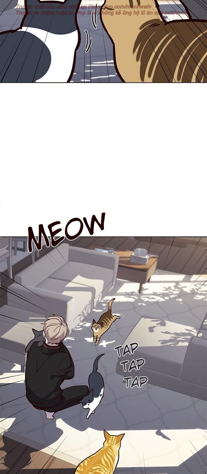 Hóa thân thành mèo chapter 34 - Upload bởi truyensieuhay.com