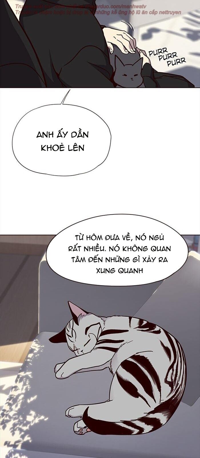 Hóa thân thành mèo chapter 34 - Upload bởi truyensieuhay.com