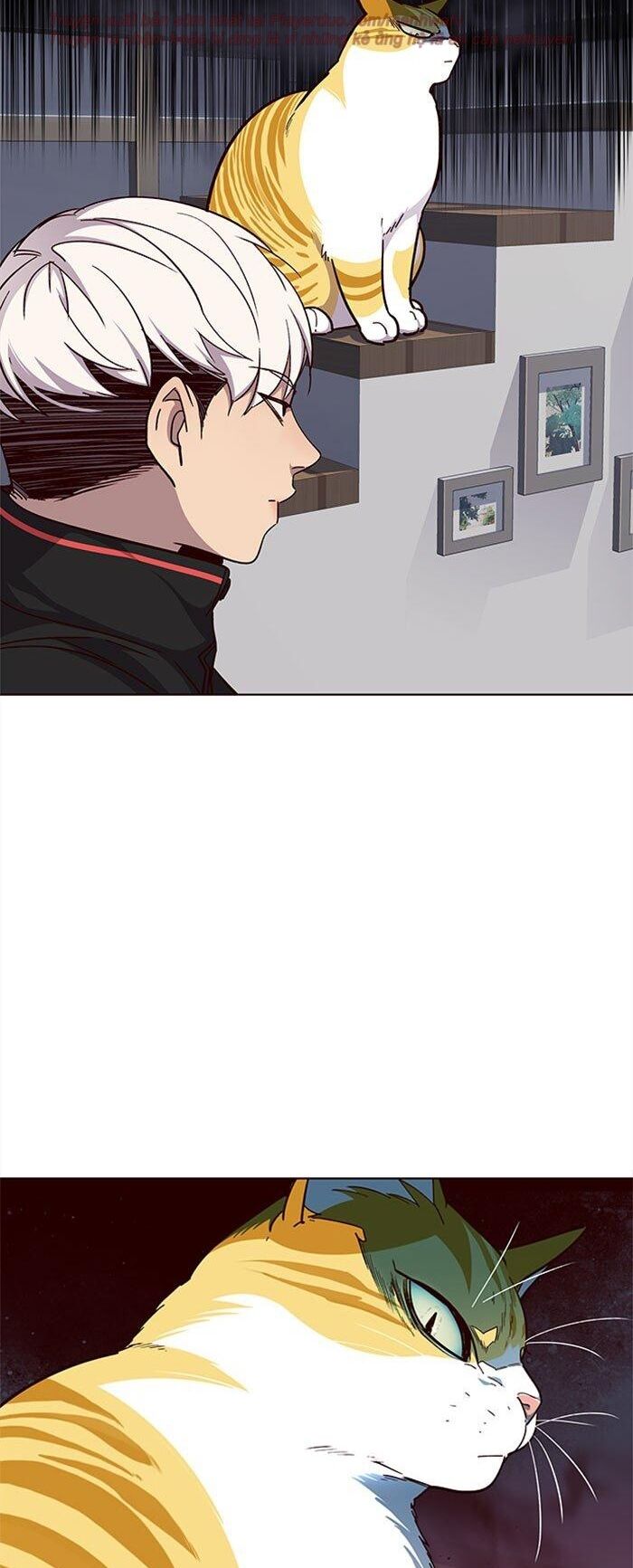 Hóa thân thành mèo chapter 35 - Upload bởi truyensieuhay.com