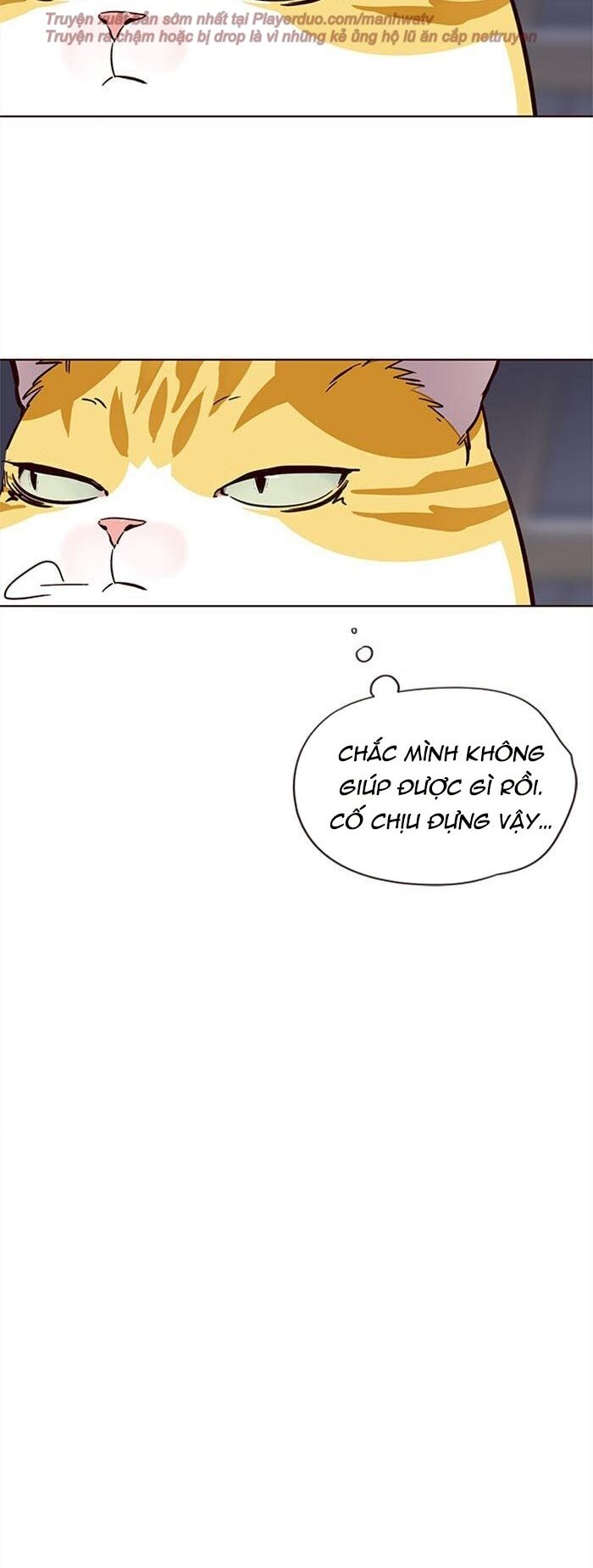 Hóa thân thành mèo chapter 35 - Upload bởi truyensieuhay.com