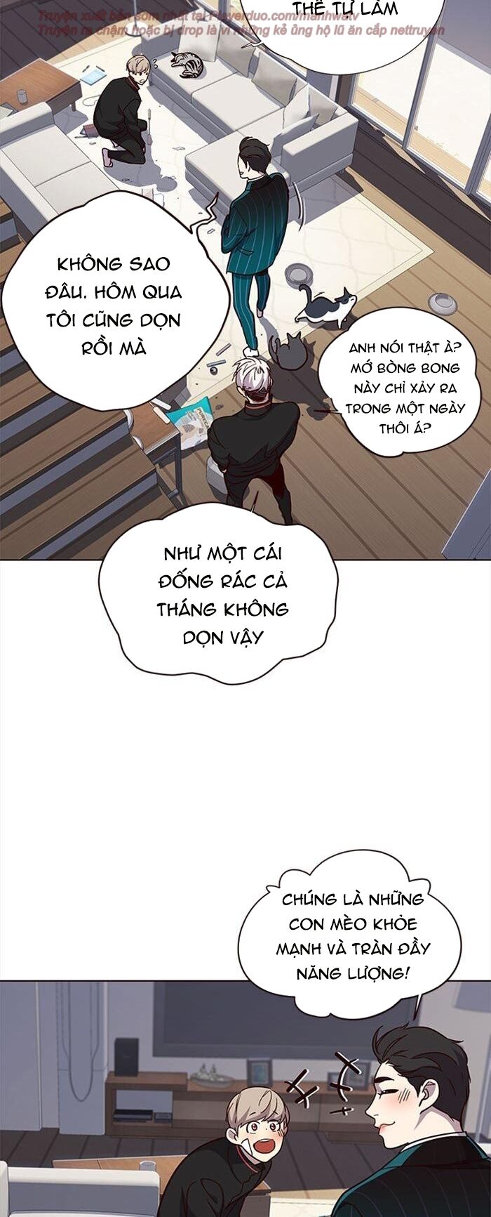 Hóa thân thành mèo chapter 35 - Upload bởi truyensieuhay.com