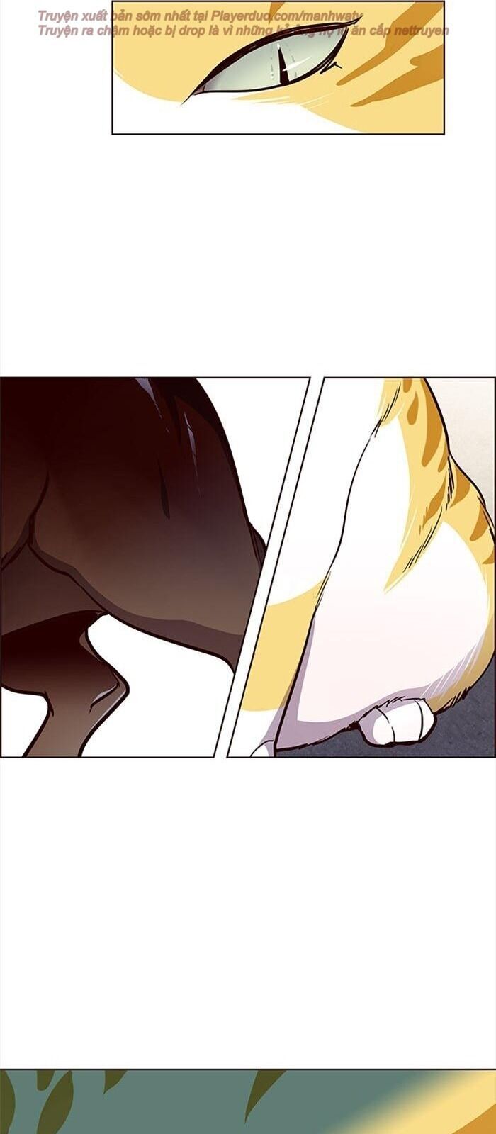 Hóa thân thành mèo chapter 36 - Upload bởi truyensieuhay.com