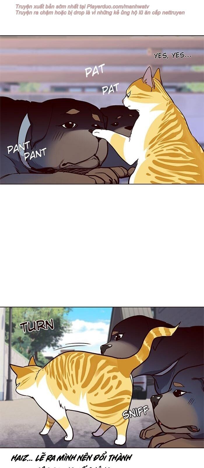 Hóa thân thành mèo chapter 36 - Upload bởi truyensieuhay.com