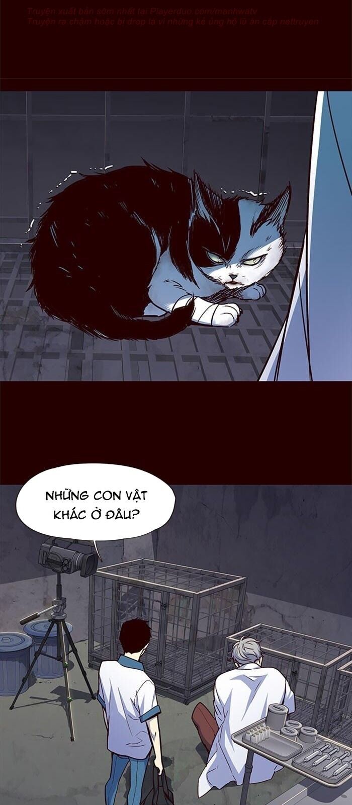 Hóa thân thành mèo chapter 36 - Upload bởi truyensieuhay.com