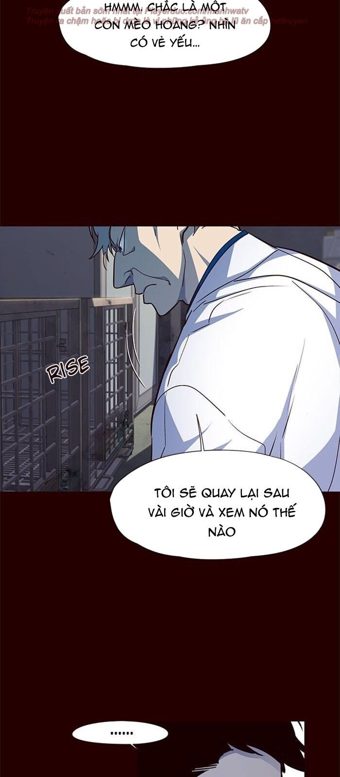 Hóa thân thành mèo chapter 36 - Upload bởi truyensieuhay.com