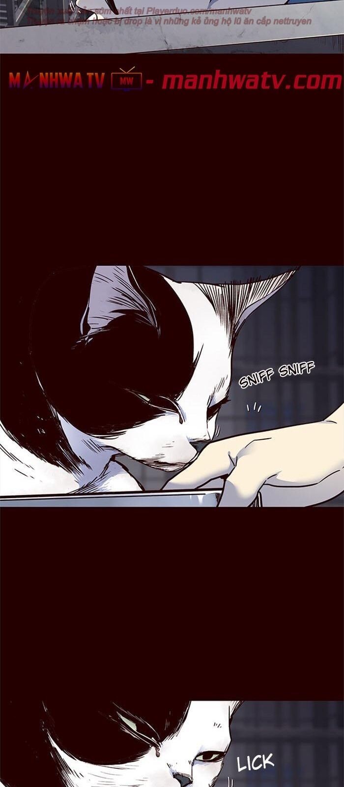 Hóa thân thành mèo chapter 36 - Upload bởi truyensieuhay.com