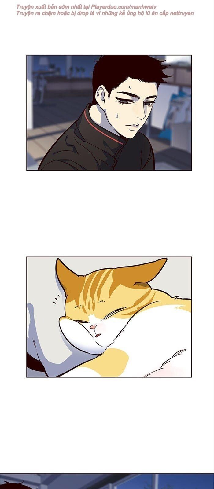 Hóa thân thành mèo chapter 36 - Upload bởi truyensieuhay.com