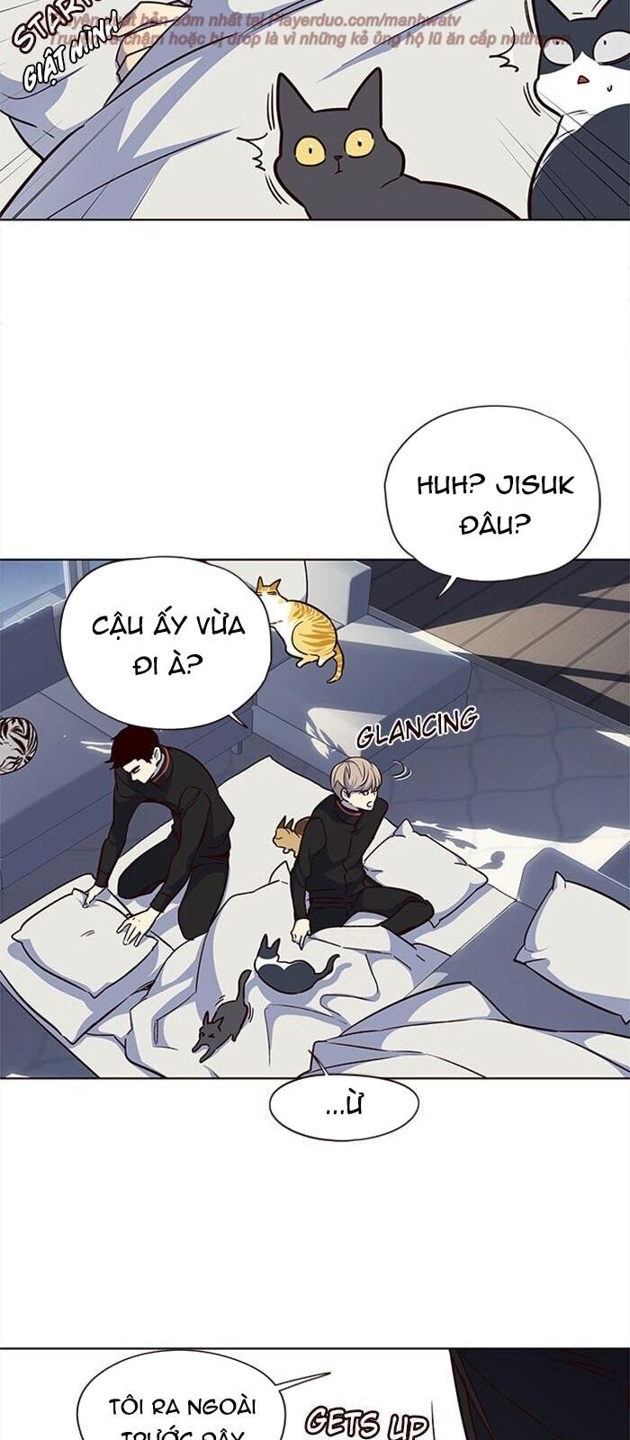 Hóa thân thành mèo chapter 36 - Upload bởi truyensieuhay.com