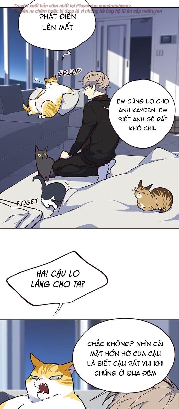 Hóa thân thành mèo chapter 36 - Upload bởi truyensieuhay.com