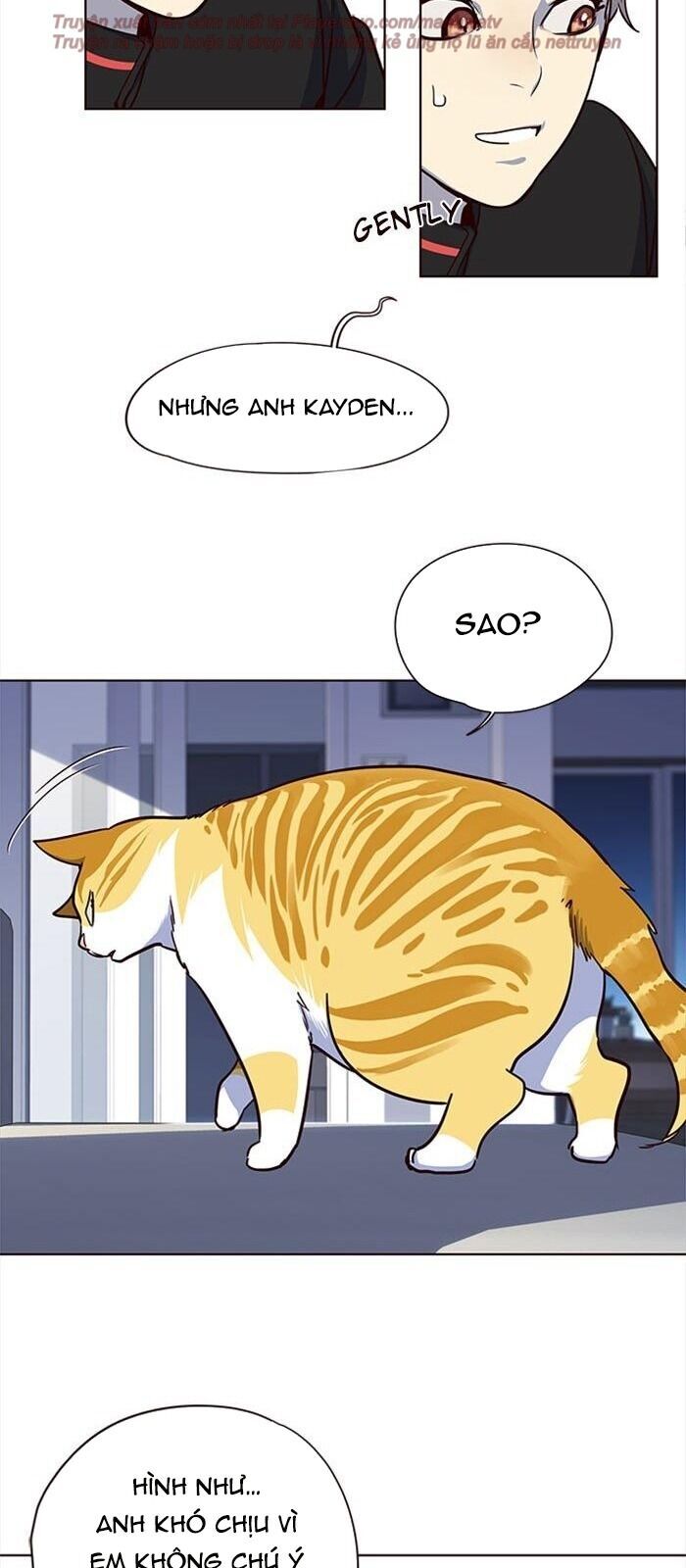 Hóa thân thành mèo chapter 36 - Upload bởi truyensieuhay.com