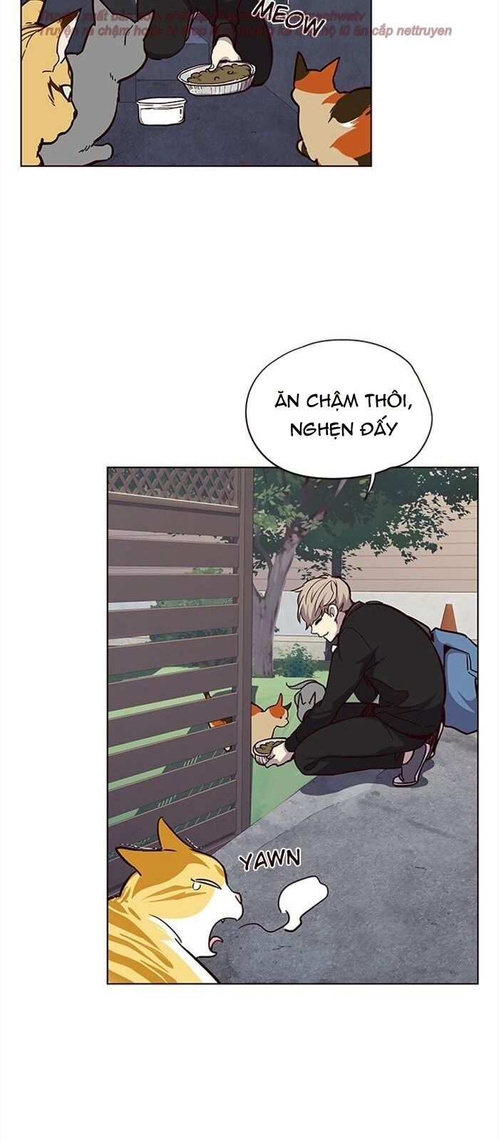 Hóa thân thành mèo chapter 36 - Upload bởi truyensieuhay.com