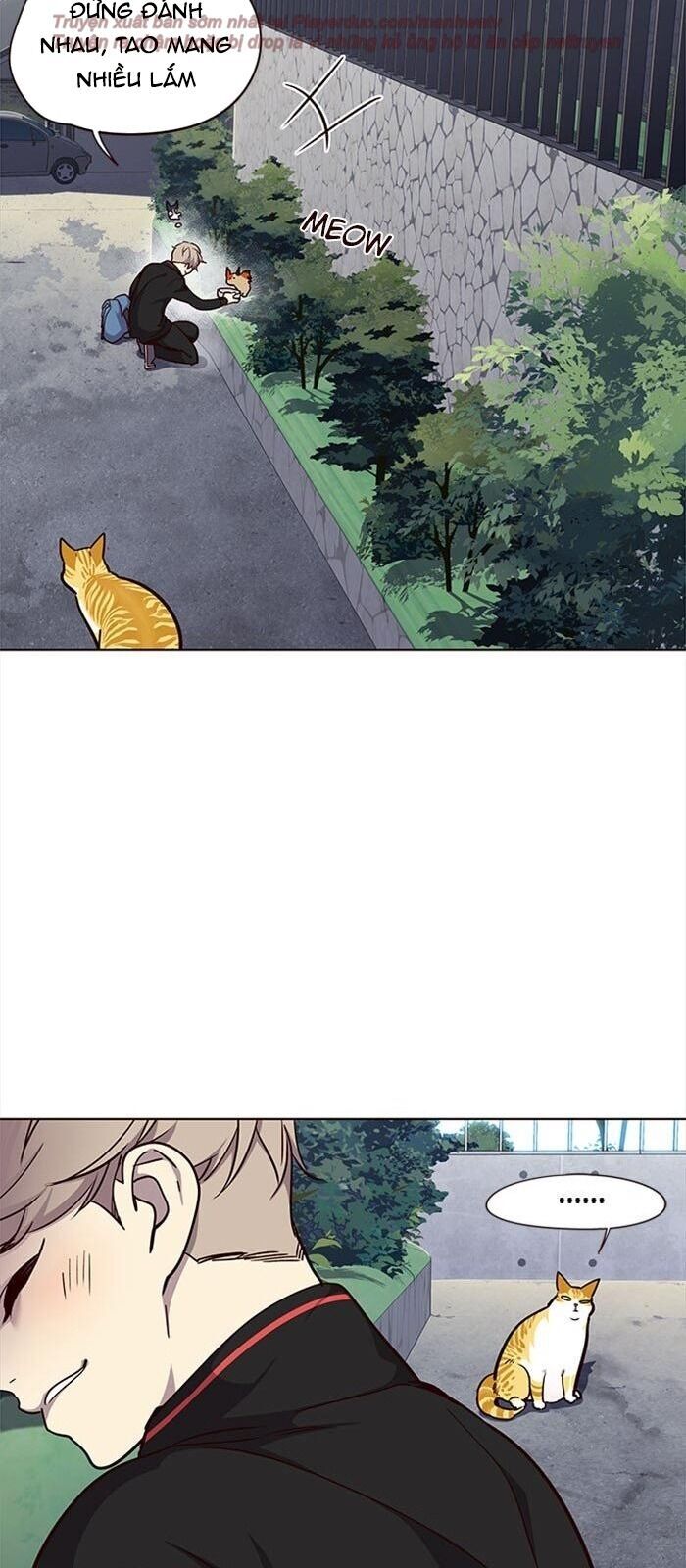 Hóa thân thành mèo chapter 36 - Upload bởi truyensieuhay.com