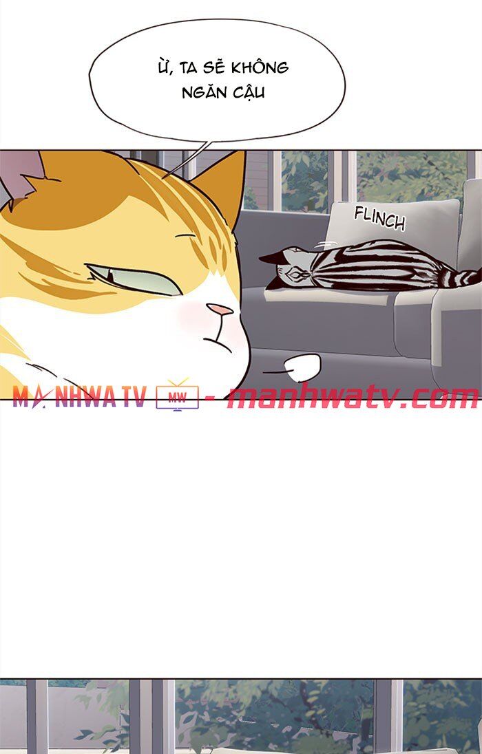 Hóa thân thành mèo chapter 37 - Upload bởi truyensieuhay.com