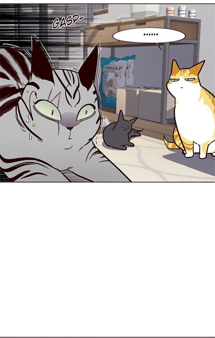 Hóa thân thành mèo chapter 37 - Upload bởi truyensieuhay.com