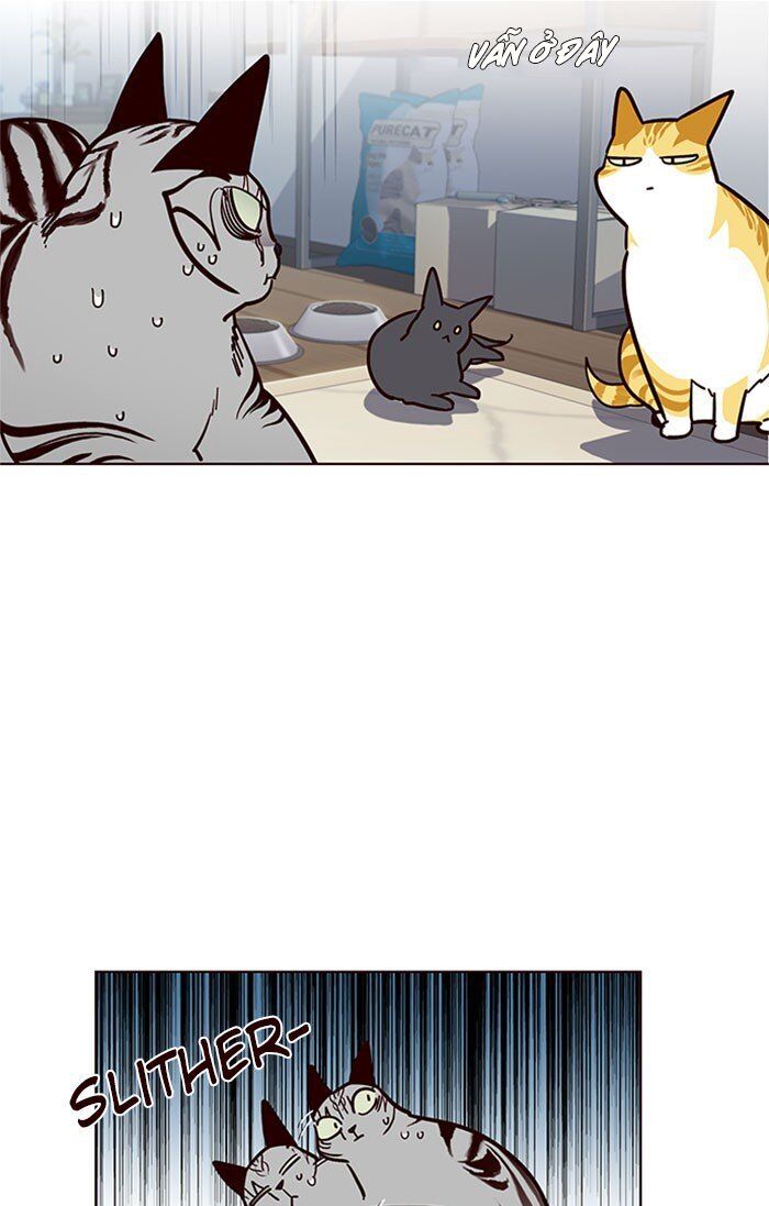 Hóa thân thành mèo chapter 37 - Upload bởi truyensieuhay.com