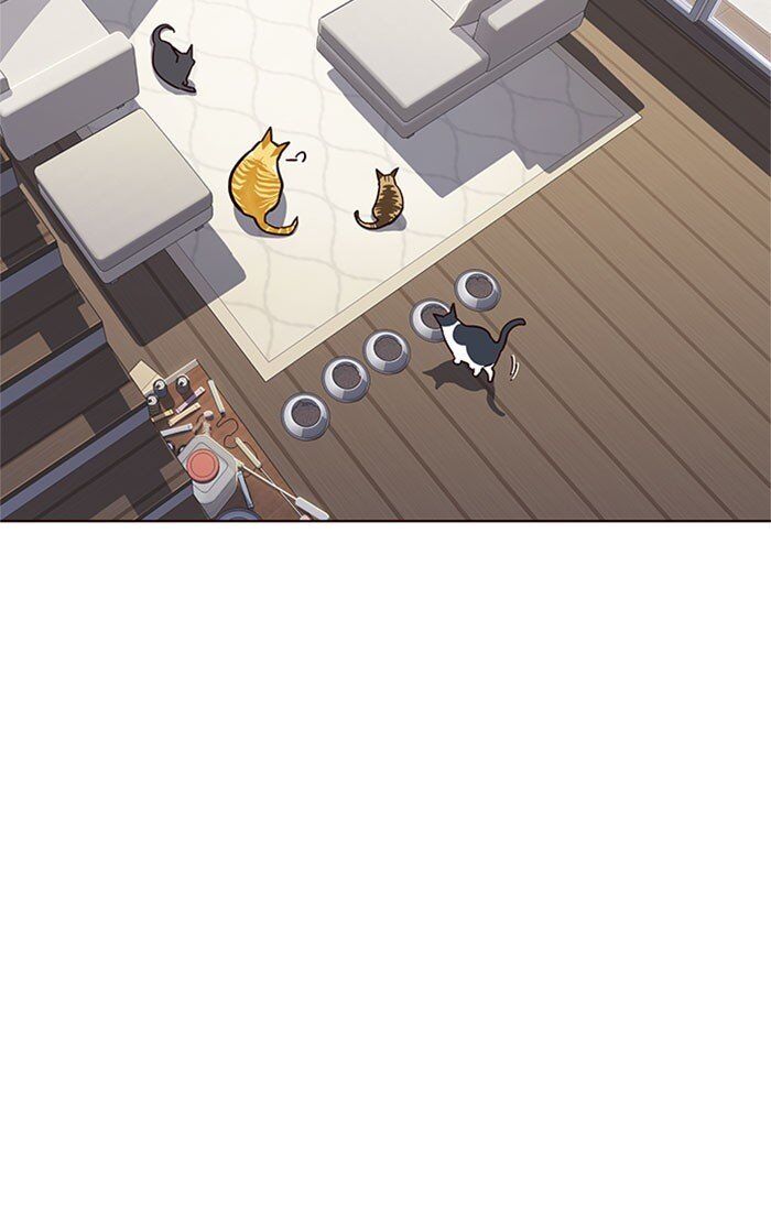 Hóa thân thành mèo chapter 37 - Upload bởi truyensieuhay.com