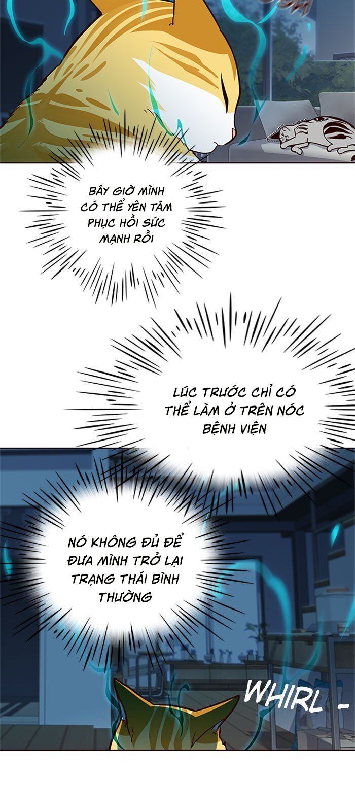 Hóa thân thành mèo chapter 37 - Upload bởi truyensieuhay.com