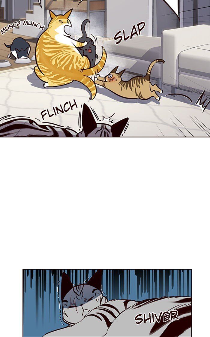 Hóa thân thành mèo chapter 37 - Upload bởi truyensieuhay.com