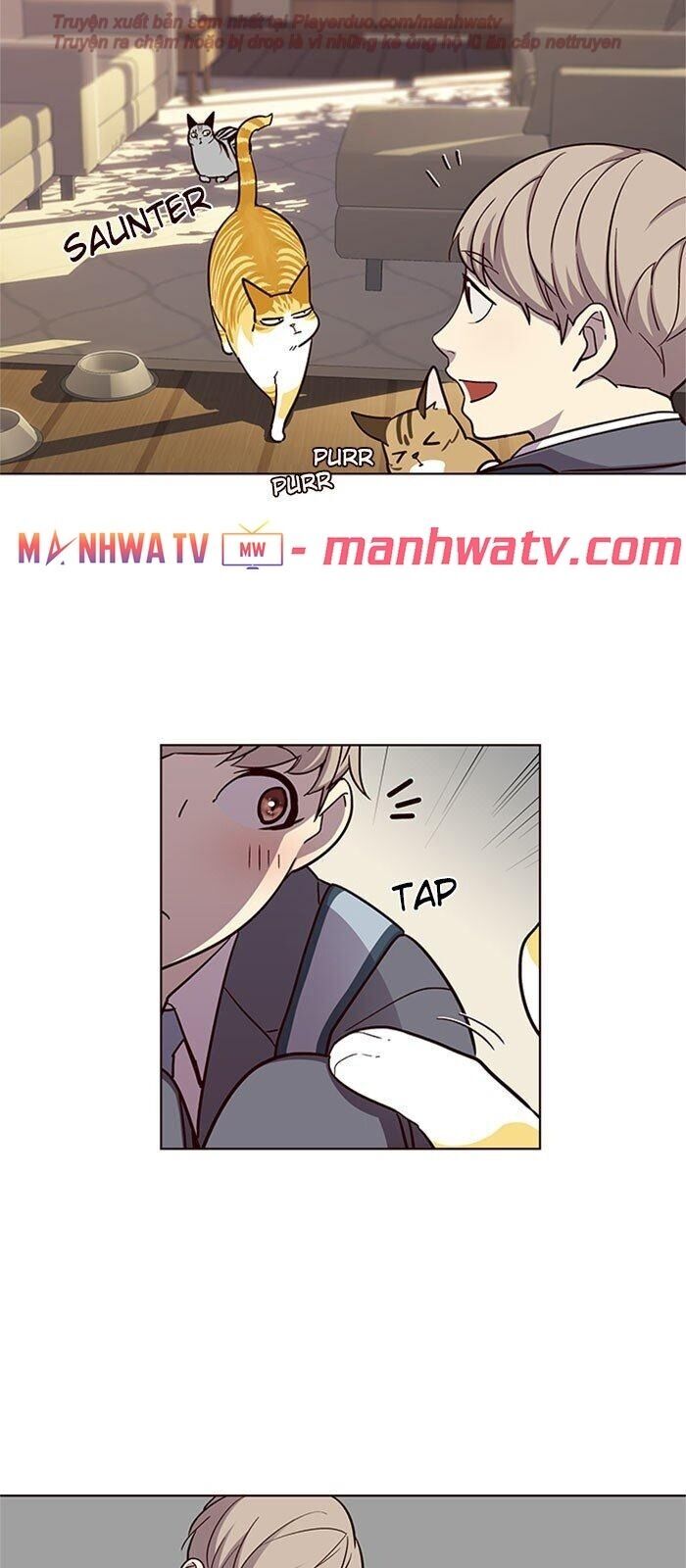 Hóa thân thành mèo chapter 38 - Upload bởi truyensieuhay.com