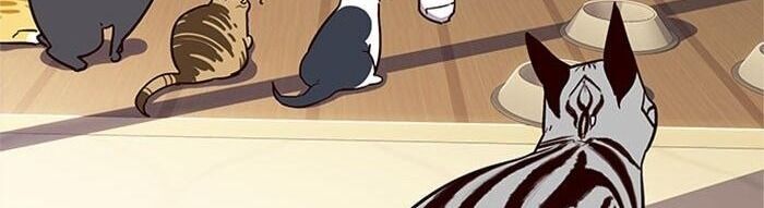 Hóa thân thành mèo chapter 38 - Upload bởi truyensieuhay.com