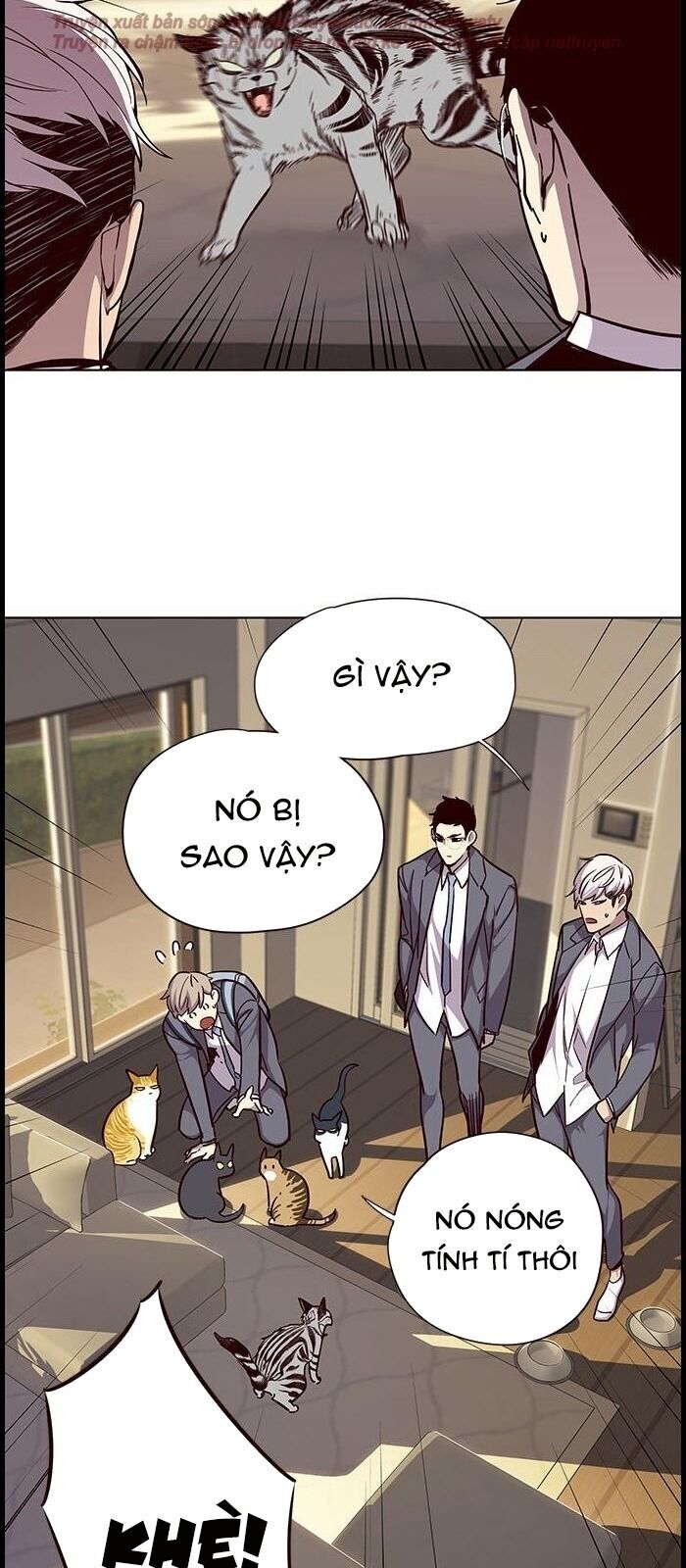 Hóa thân thành mèo chapter 38 - Upload bởi truyensieuhay.com