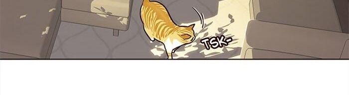 Hóa thân thành mèo chapter 38 - Upload bởi truyensieuhay.com
