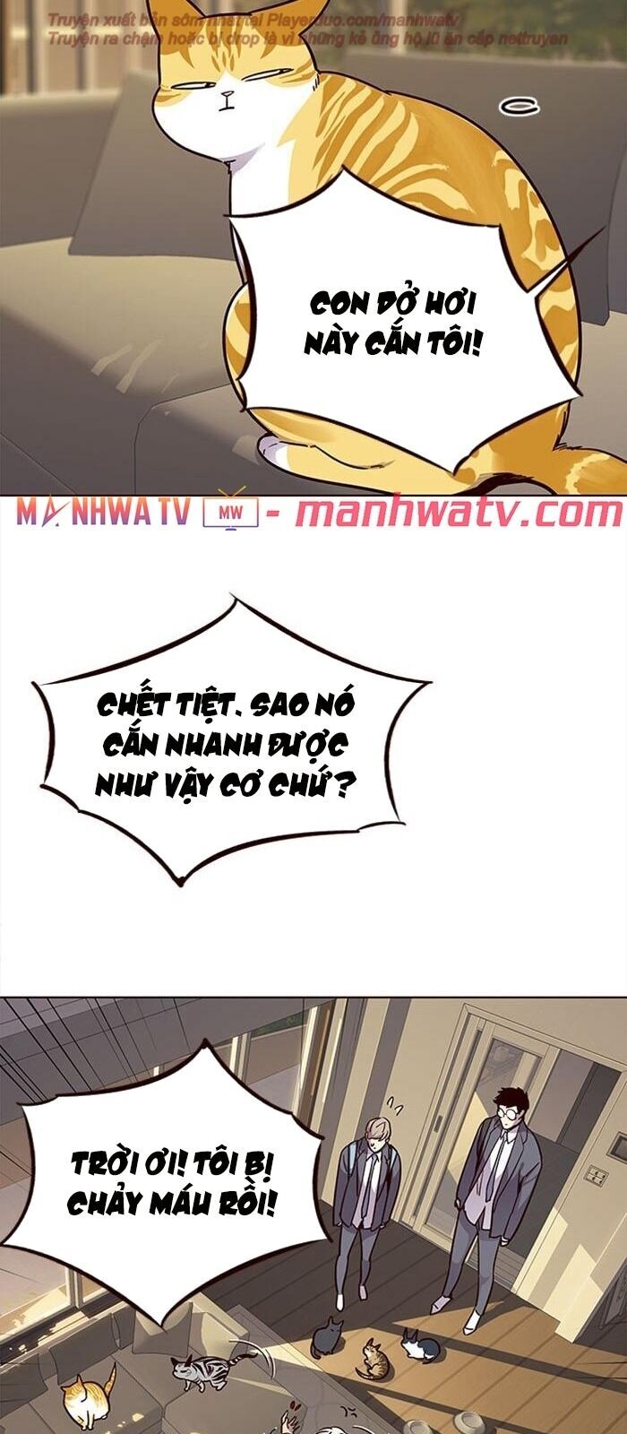Hóa thân thành mèo chapter 38 - Upload bởi truyensieuhay.com