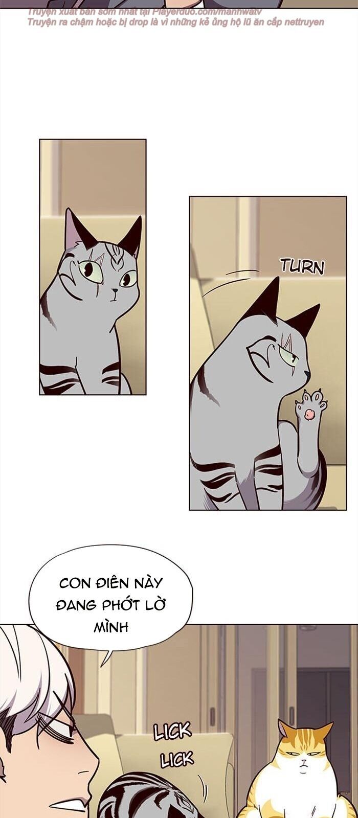 Hóa thân thành mèo chapter 38 - Upload bởi truyensieuhay.com