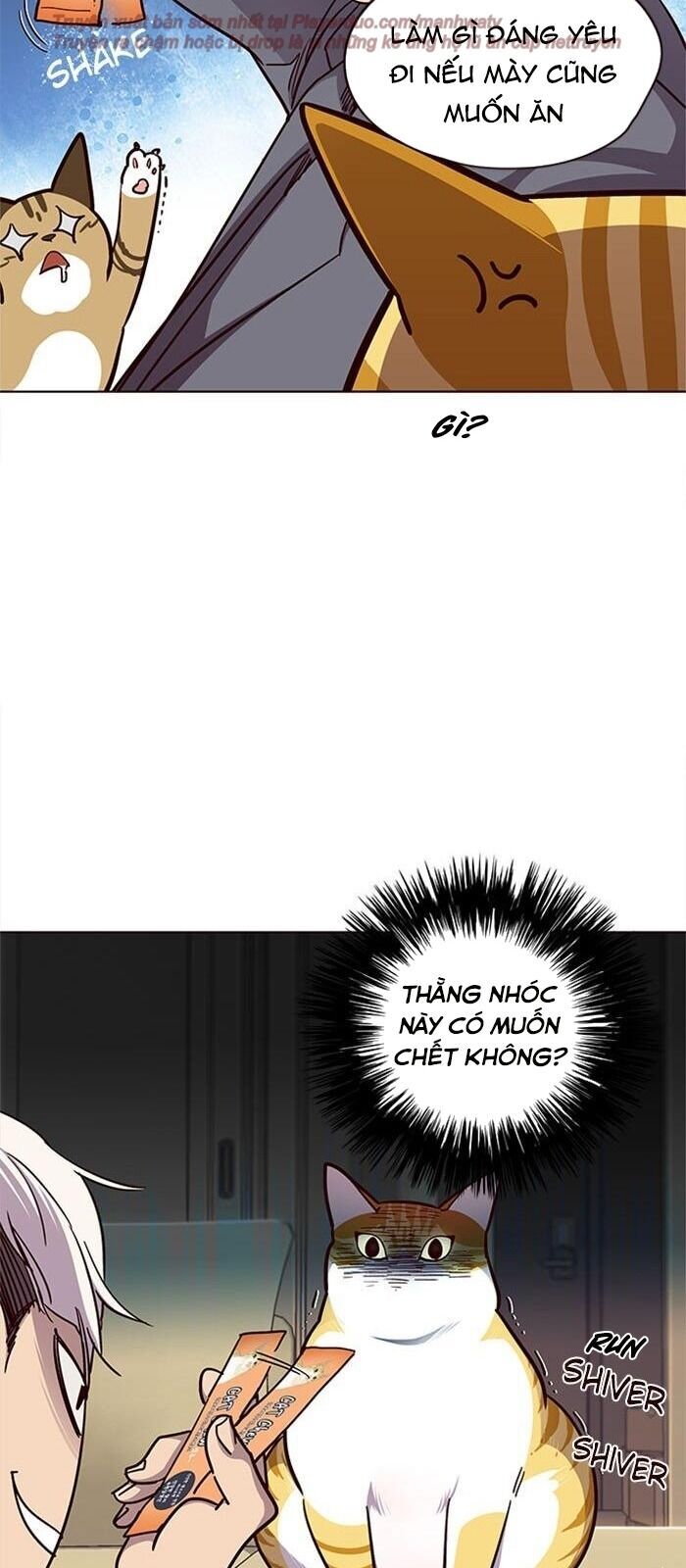 Hóa thân thành mèo chapter 38 - Upload bởi truyensieuhay.com