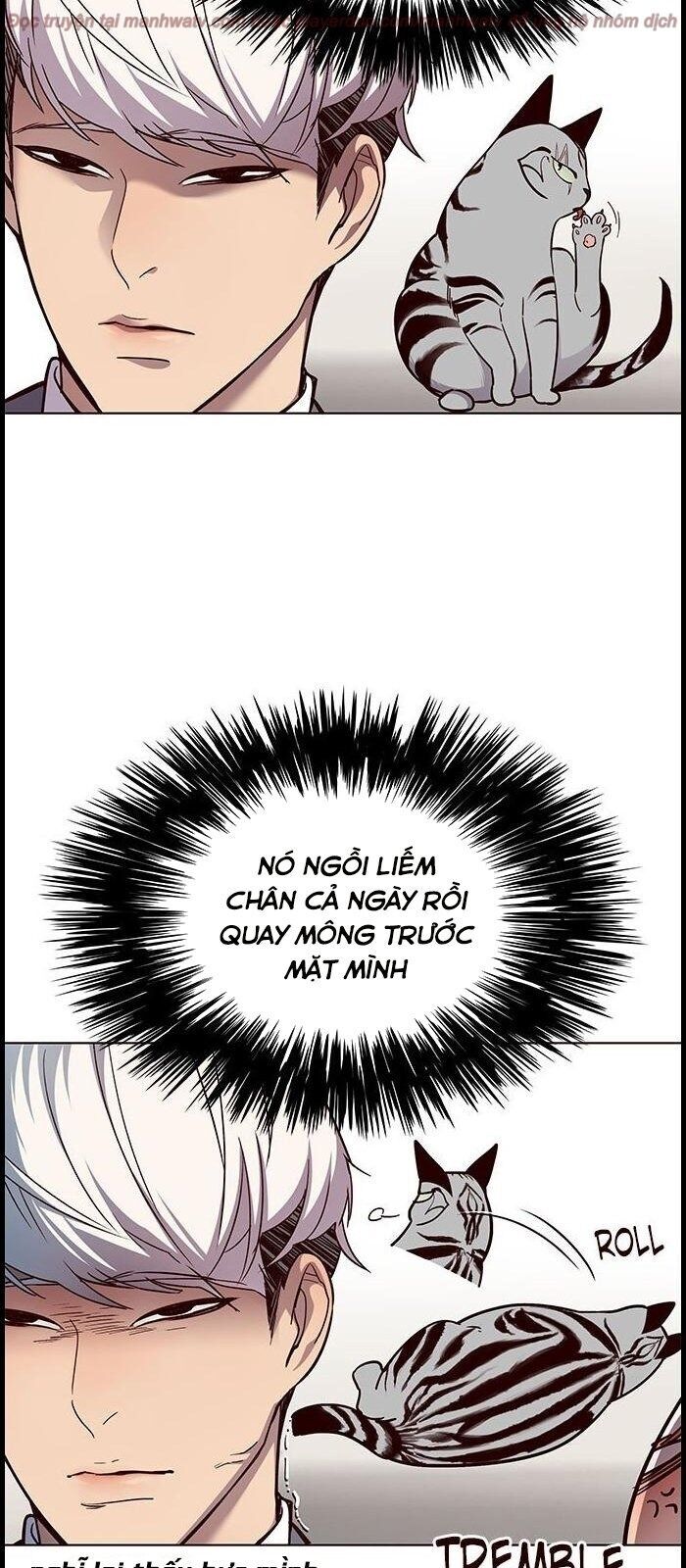 Hóa thân thành mèo chapter 39 - Upload bởi truyensieuhay.com